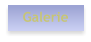 Galerie